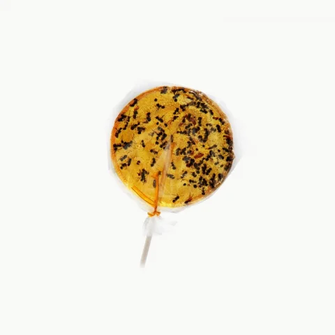 Sucette fourmis orange