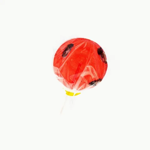 Sucette grillons fraise