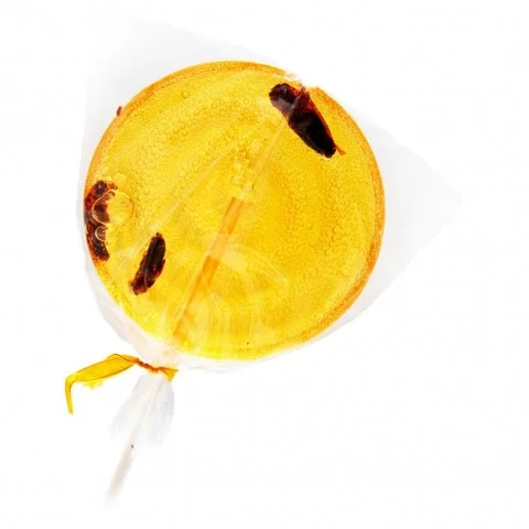Sucette grillons orange