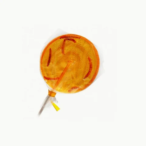 Sucette ver de farine orange