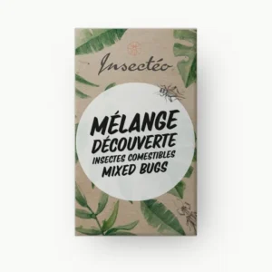 Mélange découverte d'insectes - INSECTÉO