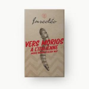 Vers géants morios à l'italienne - INSECTÉO