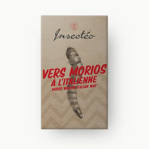 Vers géants morios à l'italienne - INSECTÉO