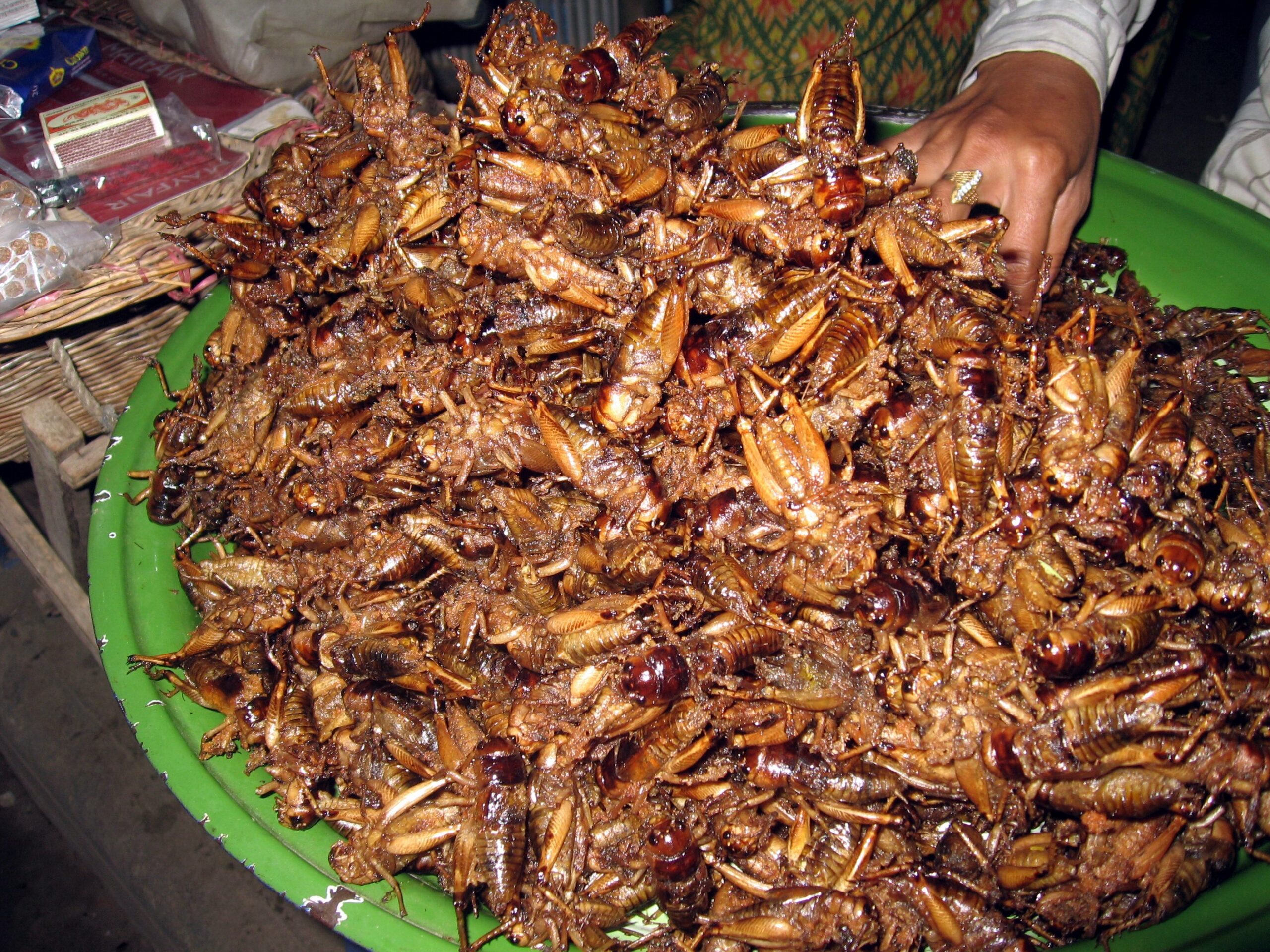 Houmous garni aux insectes