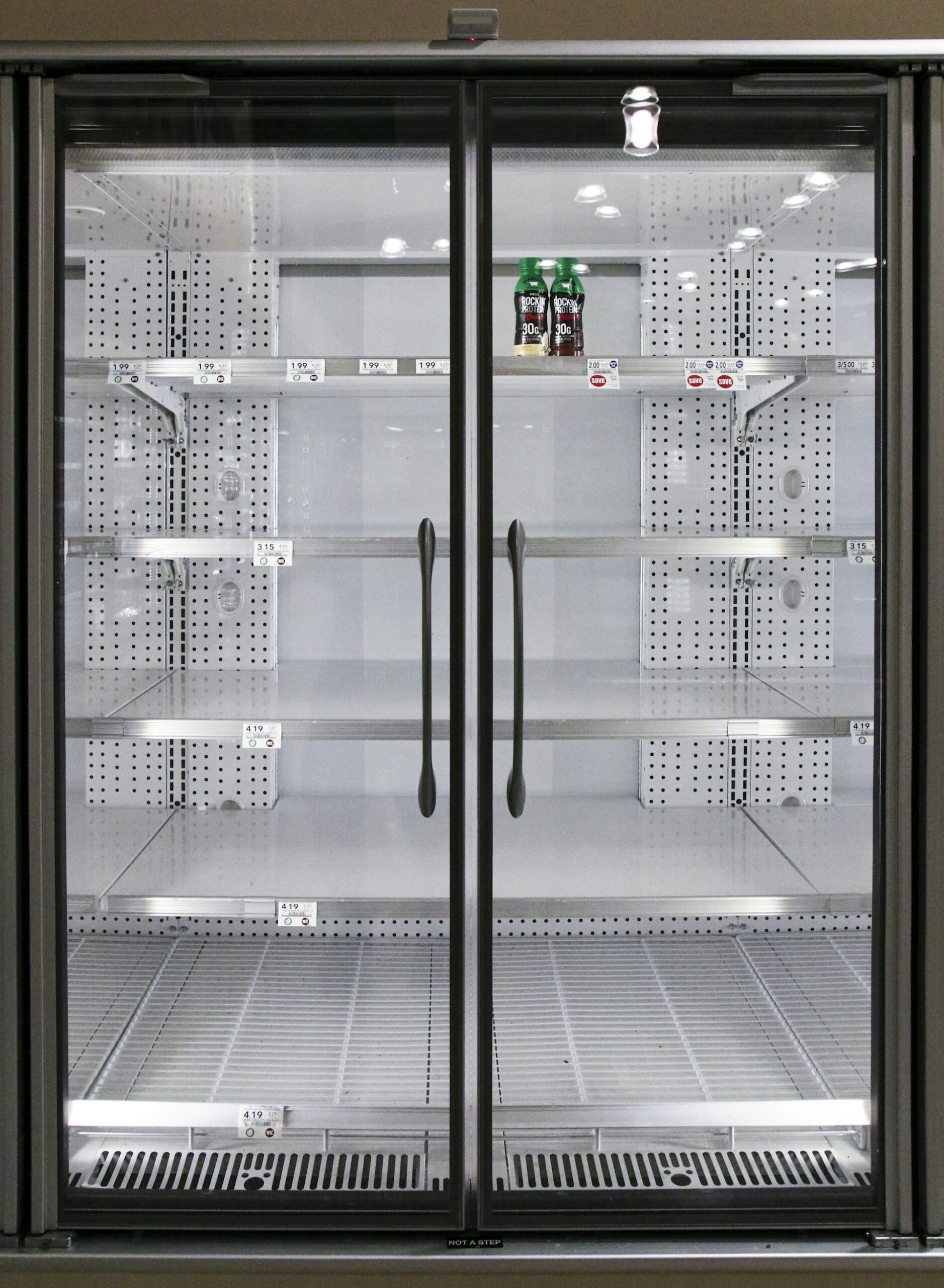 Congélation des insectes comestibles