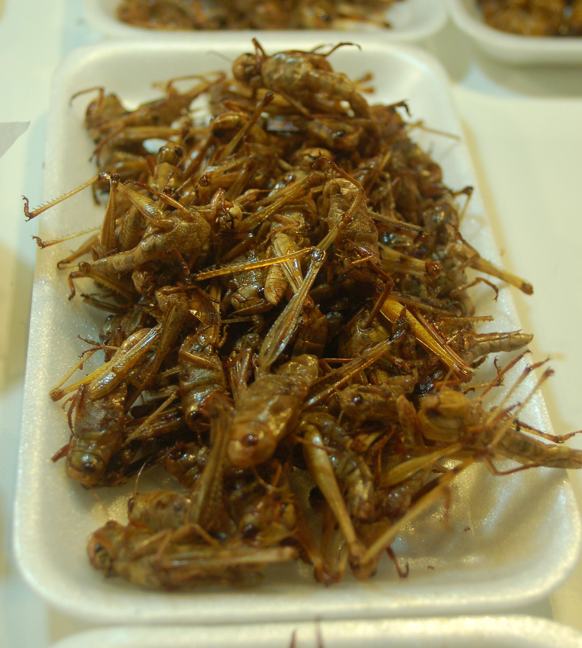 Criquets frits aux épices thaïes