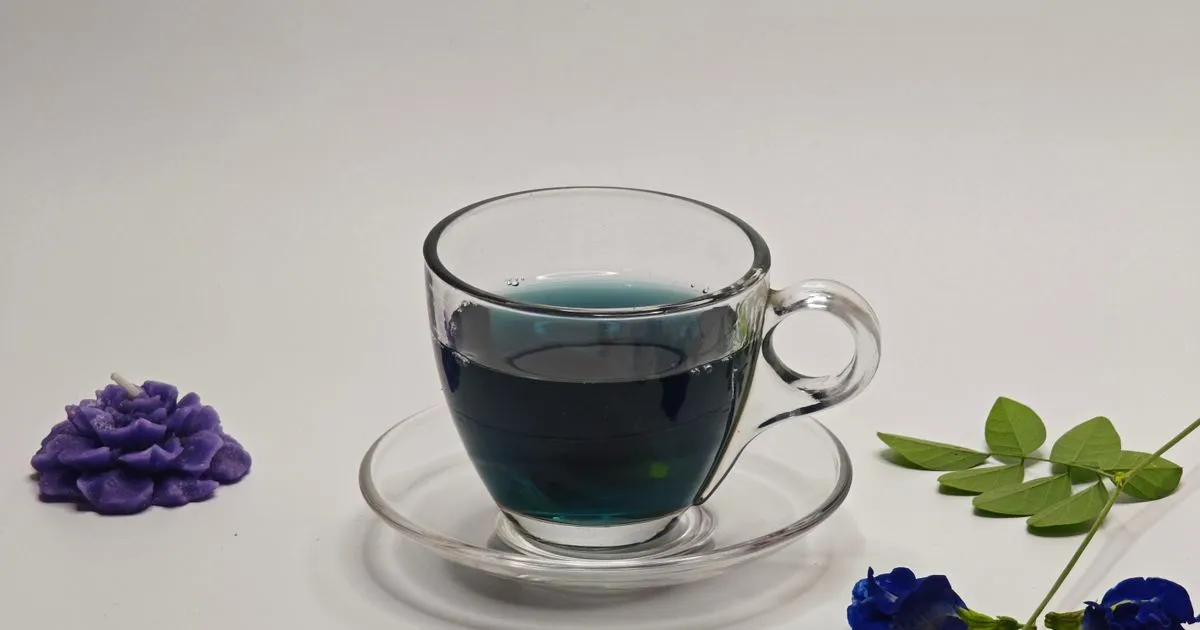 Tasse de thé bleu à la fleur de pois papillon avec fleurs de clitorie